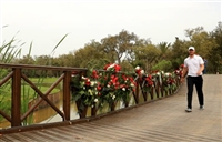 Chris Wood Tank Top #3511502