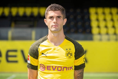 Christian Pulisic Poster 3703797