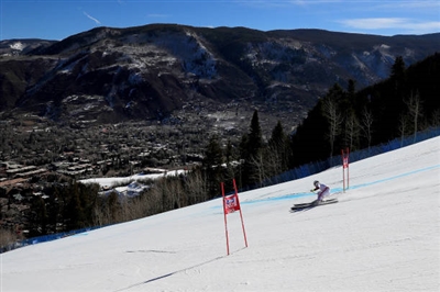 Christine Scheyer posters