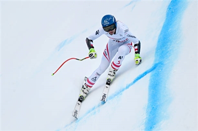 Christine Scheyer posters