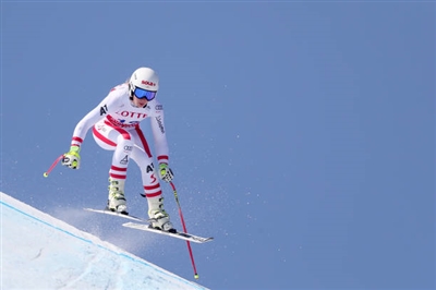 Christine Scheyer posters