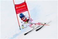 Christine Scheyer tote bag #G2248715