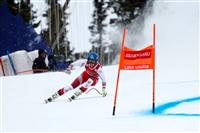 Christine Scheyer Sweatshirt #3638983