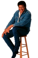 Chubby Checker hoodie #1996752
