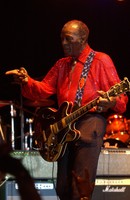 Chuck Berry t-shirt #2702500