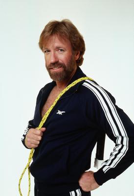 Chuck Norris stickers 2210057