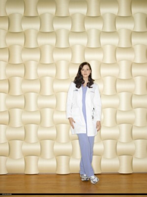 Chyler Leigh posters