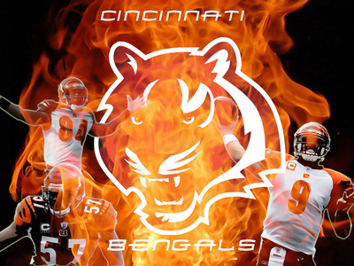 Cincinnati Bengals posters