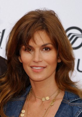 Cindy Crawford puzzle 1360197