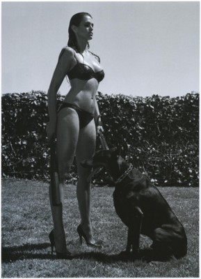 Cindy Crawford posters