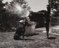 Cindy Crawford t-shirt #1458605