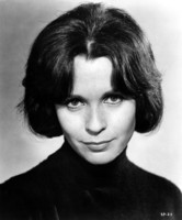 Claire Bloom hoodie #2552632