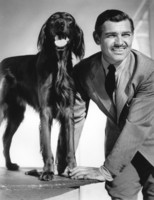 Clark Gable t-shirt #2558340