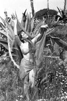 Claudia Cardinale t-shirt #2587831