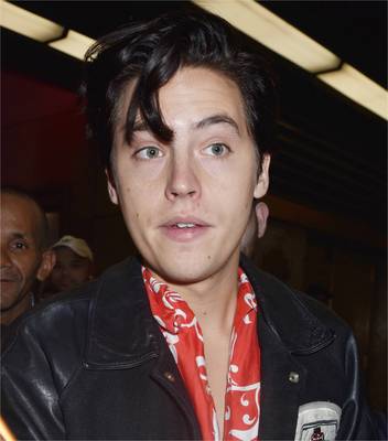 Cole Sprouse stickers 2848554