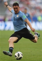 Cristian Rodriguez hoodie #3336174