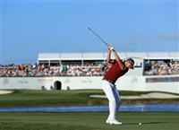 Daniel Berger Sweatshirt #3495512