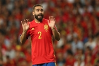 Daniel Carvajal Sweatshirt #3333226