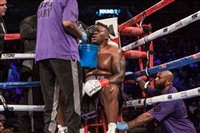 Daniel Jacobs t-shirt #3586221