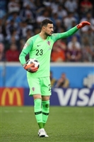 Danijel Subasic hoodie #3337694