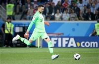 Danijel Subasic hoodie #3337697