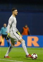 Danijel Subasic hoodie #3337704