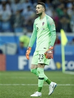 Danijel Subasic hoodie #3337705