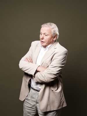 David Attenborough wooden framed poster