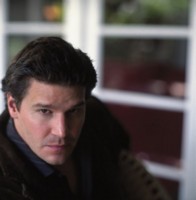 David Boreanaz mug #G166034