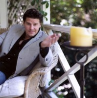 David Boreanaz Longsleeve T-shirt #1376489