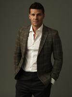 David Boreanaz tote bag #G524309