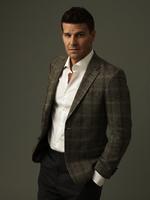 David Boreanaz Sweatshirt #2187240