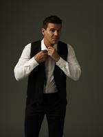 David Boreanaz Sweatshirt #2187243