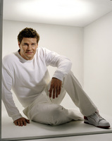 David Boreanaz mug #G530503
