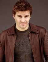 David Boreanaz tote bag #G530505