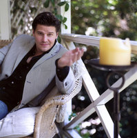 David Boreanaz Sweatshirt #2193456