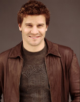 David Boreanaz Sweatshirt #2193468