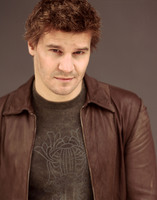 David Boreanaz Sweatshirt #2193472