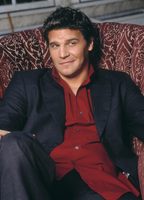 David Boreanaz Longsleeve T-shirt #2201046