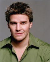 David Boreanaz Longsleeve T-shirt #2201050