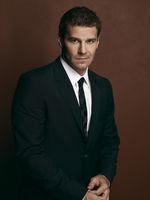 David Boreanaz tote bag #G538053