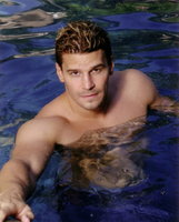 David Boreanaz Sweatshirt #2201054
