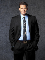 David Boreanaz Sweatshirt #2201063
