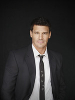 David Boreanaz Sweatshirt #2201064