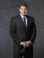 David Boreanaz Sweatshirt #2201067