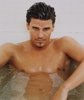 David Boreanaz Sweatshirt #2201068