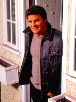 David Boreanaz mug #G548062