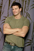 David Boreanaz Sweatshirt #2211139