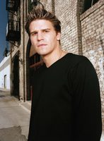 David Boreanaz Tank Top #2218565