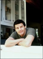 David Boreanaz Sweatshirt #2218566